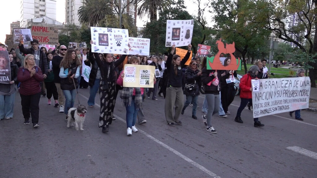 Marcha por los derechos de los animales: reclamaron una actualización de la ley y que no haya impunidad