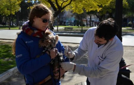 Veterinaria municipal: atención del 20 al 24 de julio