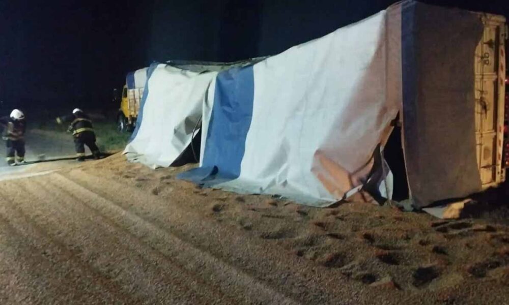 Ruta 3: un camionero tresarroyense volcó el acoplado cargado con cereal