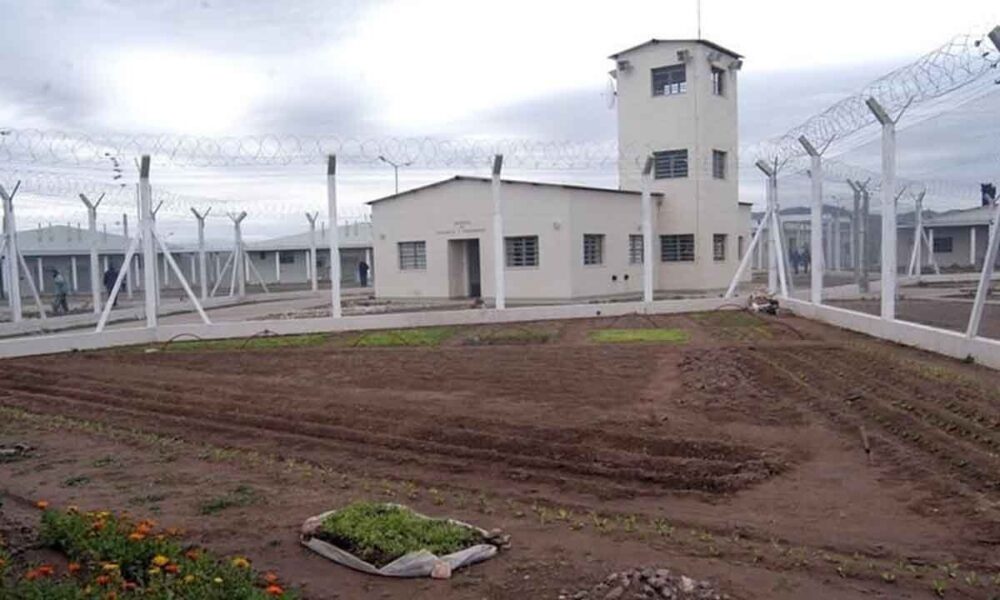Dos presos se escaparon de la cárcel de Saavedra